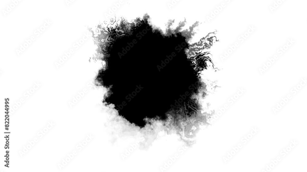 Abstract Ink splash spreads across the screen ink transition splatter blot spreading. ink splatter transition. ink brush stroke, fluid art black and white. Slide Show, Fade, Matte, Reveal splatter