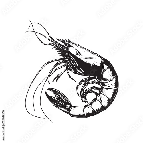 Black and white shrimp vintage ink drawing vector illustration for t-shirt design