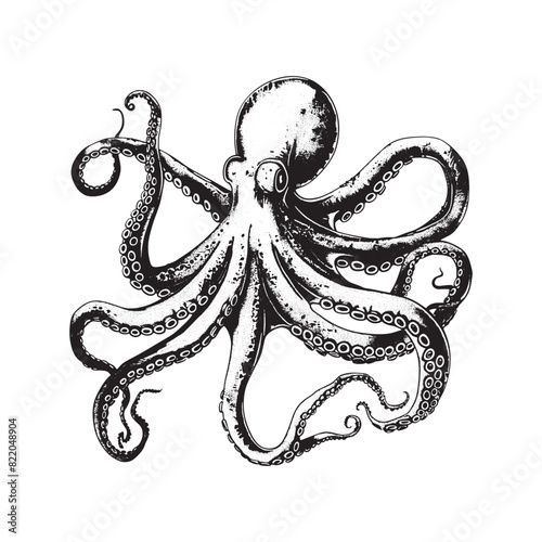  Black and white octopus vintage ink drawing vector illustration for t-shirt design