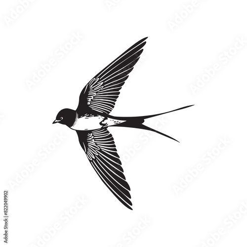 Black and white bird vintage ink drawing vector illustration for t-shirt design