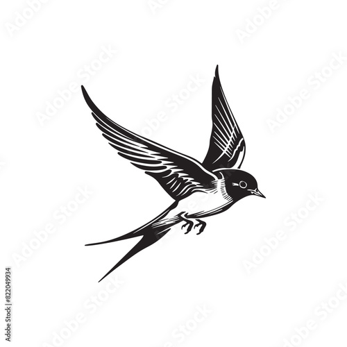 Black and white bird vintage ink drawing vector illustration for t-shirt design