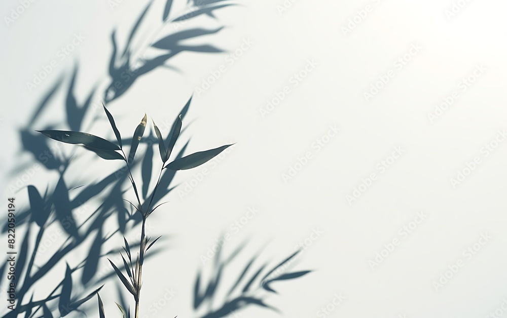 Obraz premium bamboo leaves background
