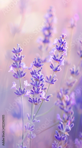 Wisps of delicate lavender dancing on a canvas of soft pastel hues  like the gentle touch of a spring breeze.