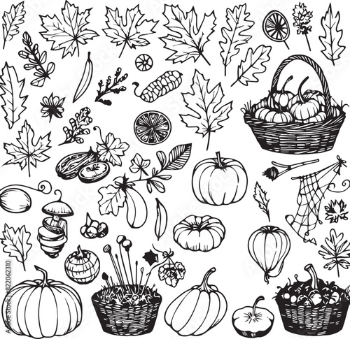 pattern with fruits and vegetables, autum, fruits, leaf, food busket hand drwan line art icons set
