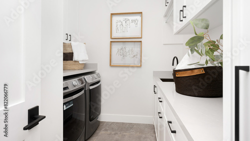 Modern laundry room interior design