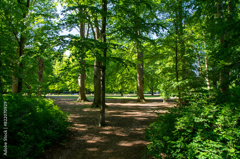 path in the park