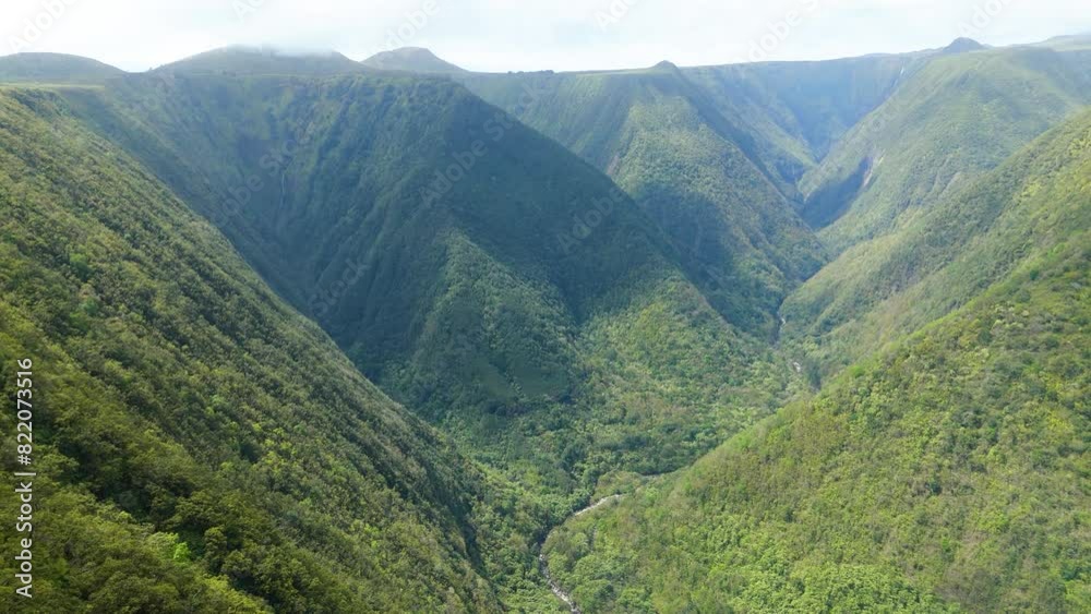 Aerial view of lush green Waipio Valley with majestic mountains and serene valley, Hawaii Island, United States. Aerial view of lush green Waipio Valley with majestic mountains and serene valley, Hawaii Island, United States.