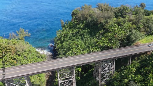 Aerial view of lush coastal forest and cliff overlooking ocean, Hamakua Coast, Hawaii Island, United States. photo