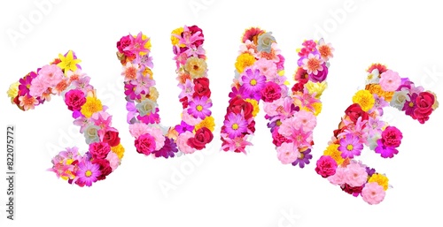 arched word "june" with various multicolored flowers