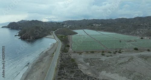 Aerial view of scenic coastline, fields, and mountains, Calabardina, Murcia, Spain. photo