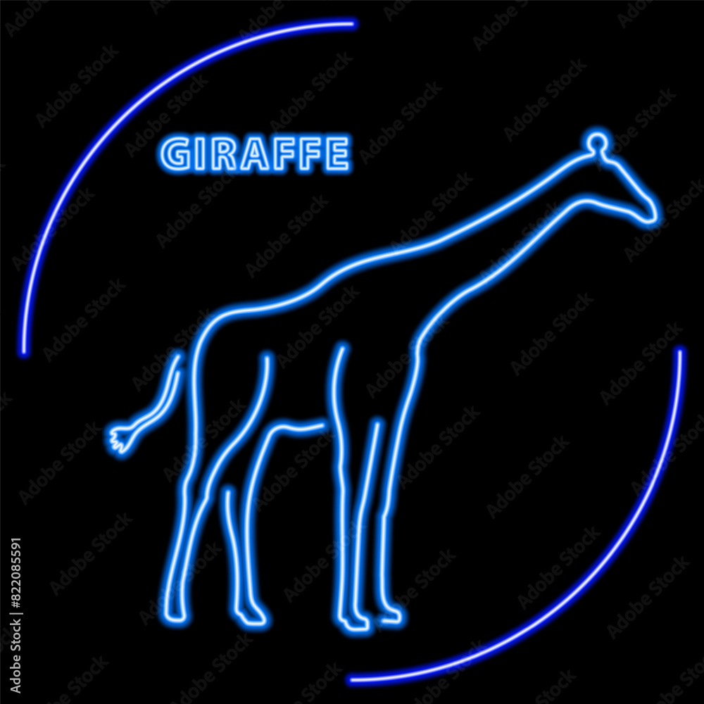 giraffe neon sign, modern glowing banner design, colorful modern design trend on black background. Vector illustration. giraffe neon sign, modern glowing banner design, colorful modern design trend on black background. Vector illustration.