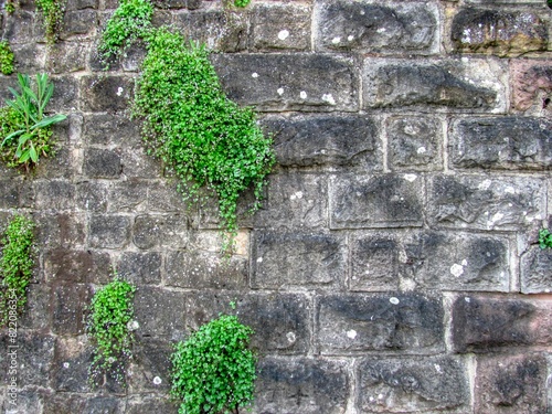schlossmauer