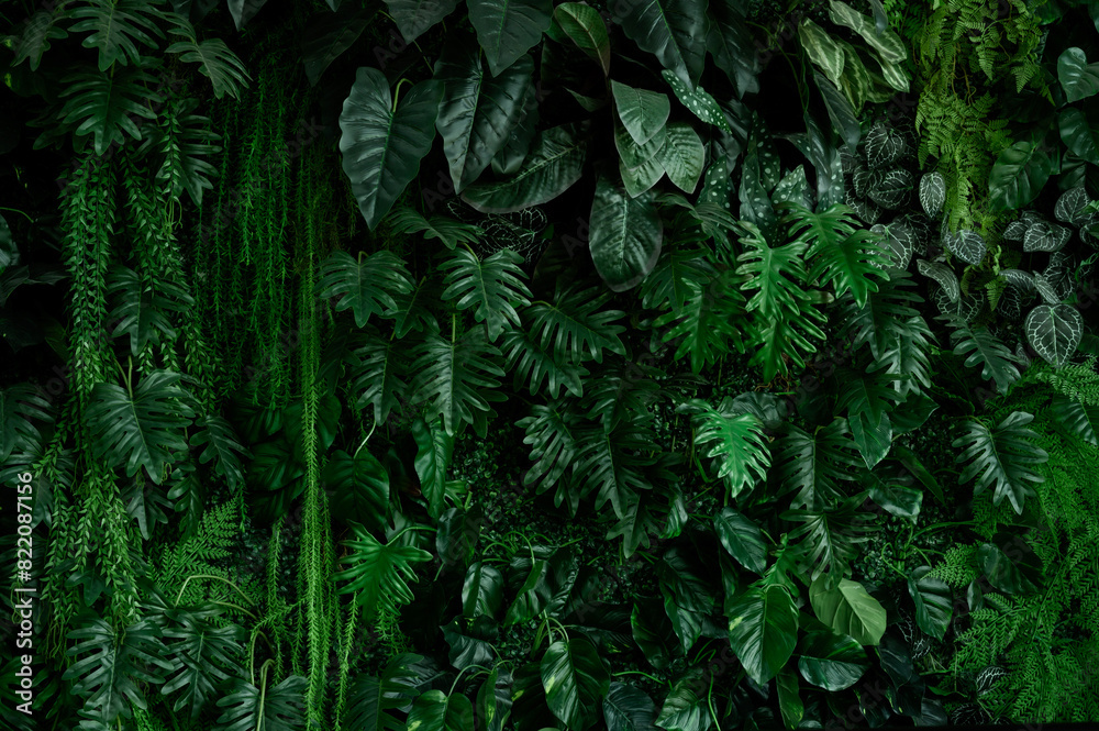 abstract green leaf texture, tropical leaf foliage nature dark green background abstract green leaf texture, tropical leaf foliage nature dark green background