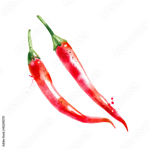 Watercolor hand drawn sketch vegetable chili pepper. Painted vector isolated illustration on white background for packaging design (ID: 822092711)