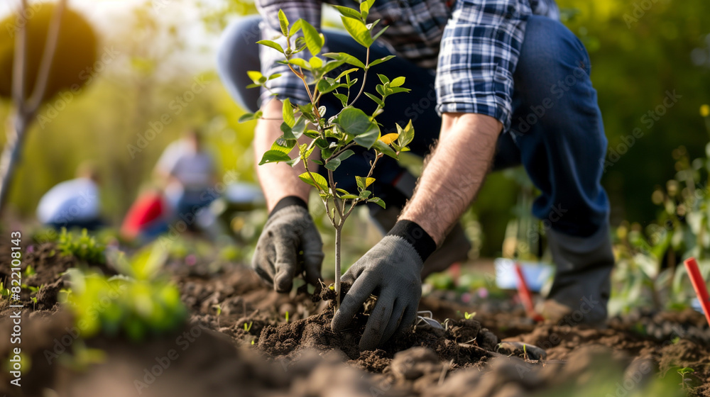 Fototapeta premium Person planting trees or working in community garden promoting local food production and habitat restoration, concept of Sustainability and Community Engagement.