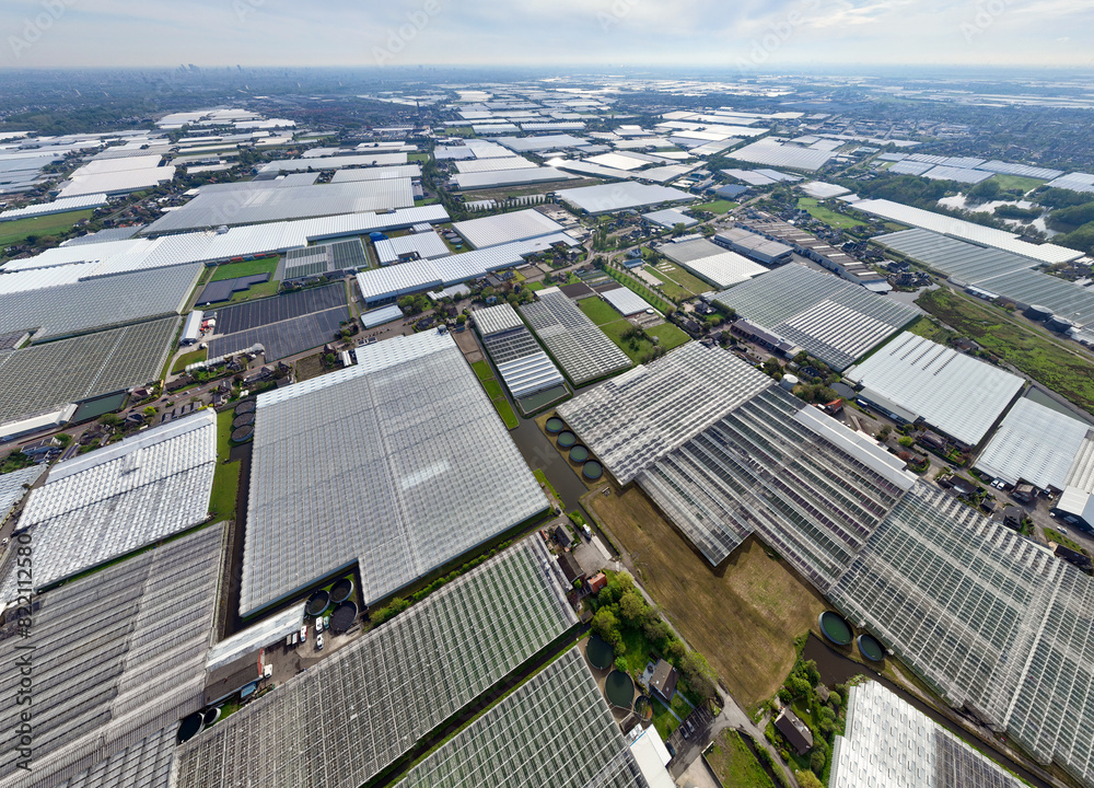Wide Squaresd of Greenhouses located in the Netherlands, Aerial Drone view. Green Glasshouses near to Monster, Hague.
