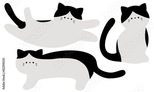 かわいいハチワレ猫のフレームセット1