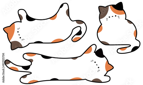 縁ありのかわいい三毛猫のフレームセット