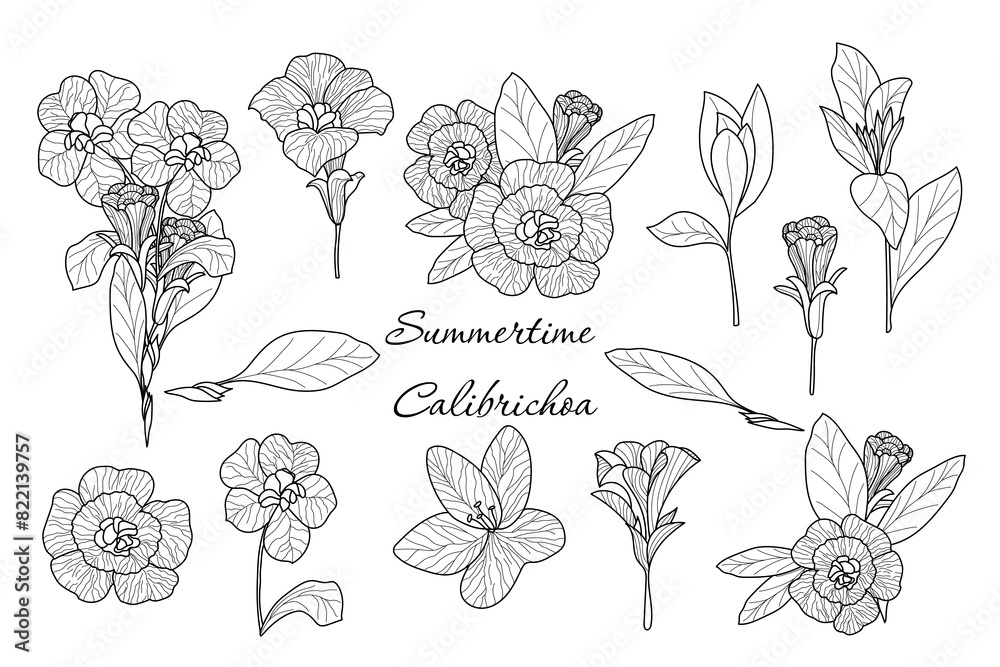 Set of various elements flowers of the calibrichoa. Set of simple and cute items for design. Vector hand drawn illustration. All elements are isolated. Set of various elements flowers of the calibrichoa. Set of simple and cute items for design. Vector hand drawn illustration. All elements are isolated.