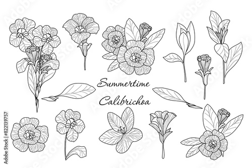 Set of various  elements  flowers of the calibrichoa. Set of simple and cute items for design. Vector hand drawn illustration. All elements are isolated.