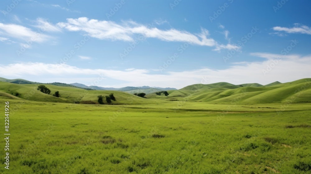 expanse of beautiful landscaped green grassland expanse of beautiful landscaped green grassland
