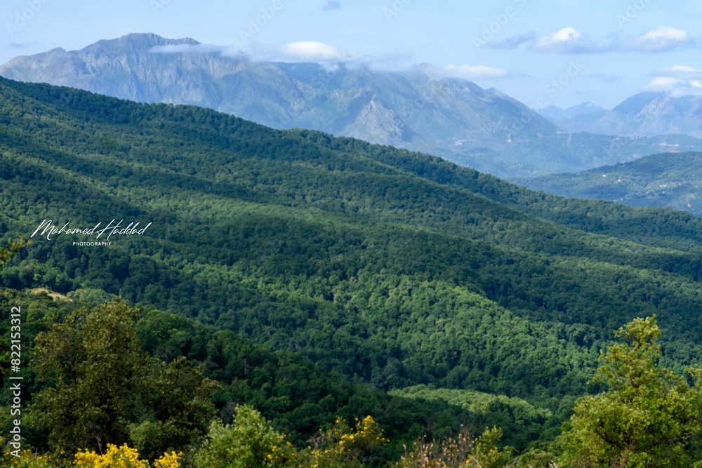 Obraz premium Scenic view from Taza national park in jijel, Algeria