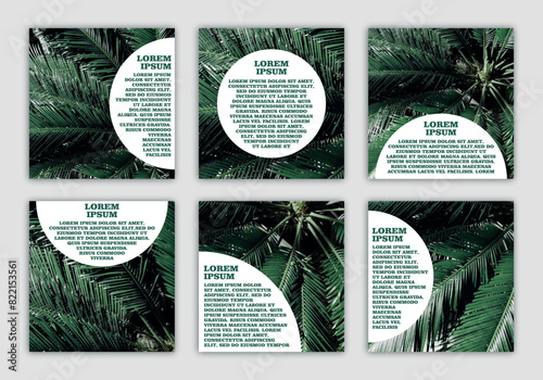 set of banners with space for text with eco-friendly natural photo with dark palm leaves