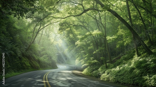 a winding mountain road, blanketed in light mist, as sunbeams filter through majestic pine trees, creating long shadows and highlighting the glistening dew on the leaves. photo
