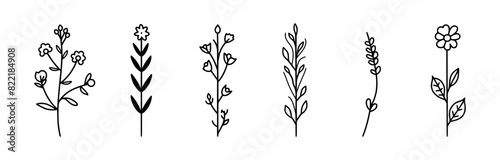 set of spring flowers icons and illustrations