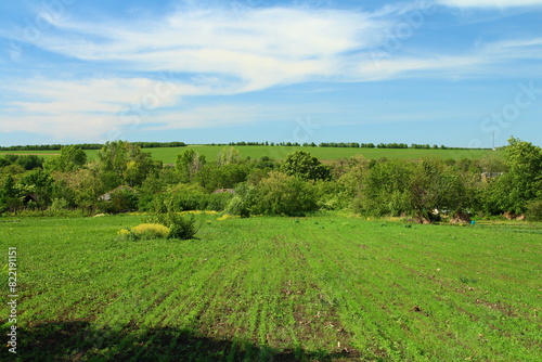 A field of grass and trees