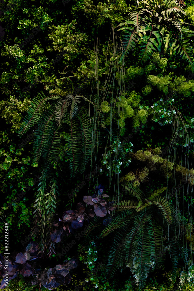 Obraz premium Herb wall, plant wall, natural green wallpaper and background. nature wall. Nature background of green forest