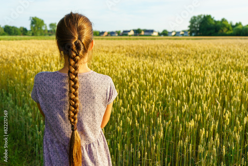 Back view of a beautiful little girl in a yellow wheat field during a sunset walk
