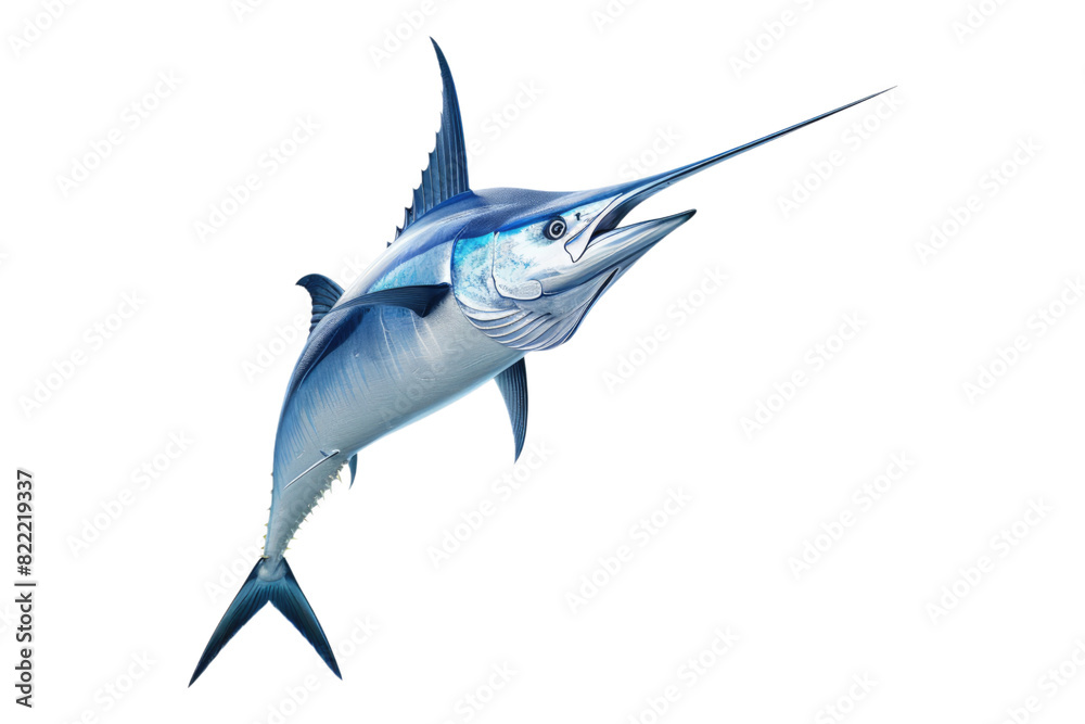 Fototapeta premium Blue marlin fish isolated on transparent background