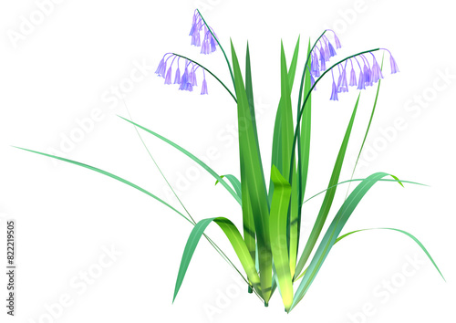 3D Rendering Bluebell Flowers on White