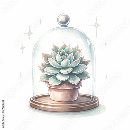 Succulent in glass dome. Watercolor illustration. photo