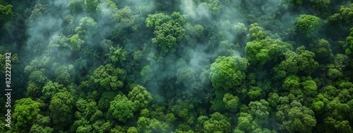 Aerial view of a lush forest with a visible CO2 footprint. Contrast between green nature and industrial elements.