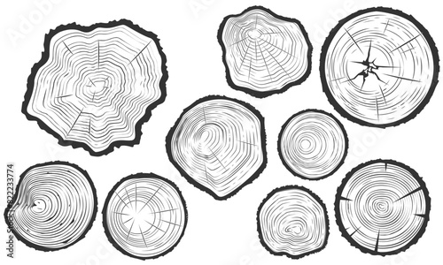 Tree trunk cuts with cracks, wood saw cuts set, timber texture, segment of tree growth rings, vector © gomixer