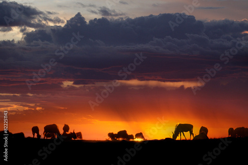 Sonnenuntergang mit Regen in der Steppe, Kenia, Afrika