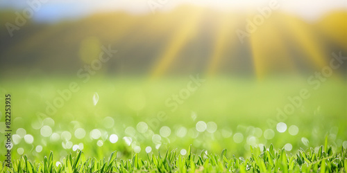 Green Meadow With Beautiful Sunny Background