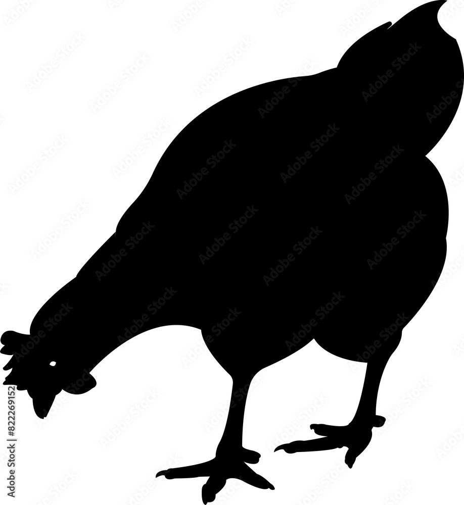 Hen Cock Chicken Silhouette Animal