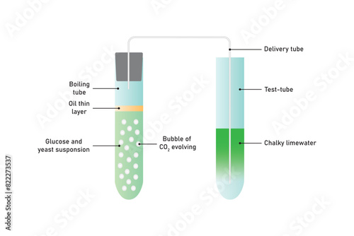 Yeast Respiration Experiment Scientific Design. Vector Illustration.