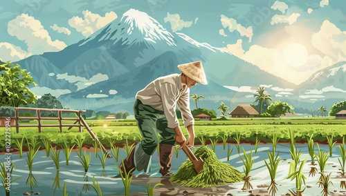 An Asian farmer is raking rice in the paddy field, photo