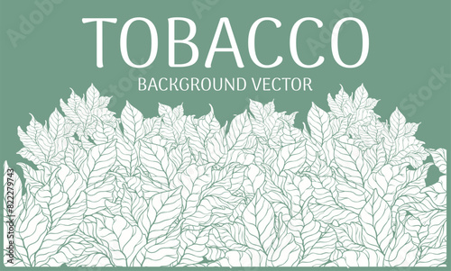 Tobacco Leaves Pattern Background Vector photo