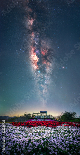 Milky way on flower garden, Thailand