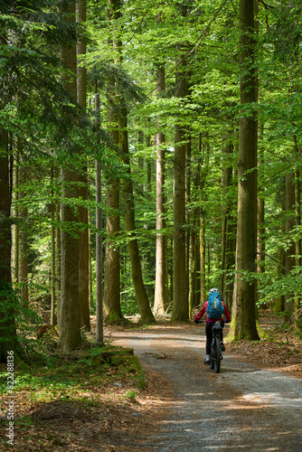 active senior woman on a bike packing tour with her electric mountain bike in the Bavarian Forest National Park, Bavaria, Germany © Uwe