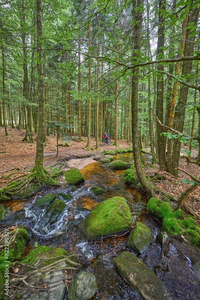 Obraz premium active senior woman on a bike packing tour with her electric mountain bike at a Little river River in the Bavarian Forest near Waldkirchen, Bavaria, Germany