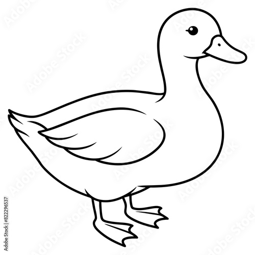 duck isolated on white vector illustration