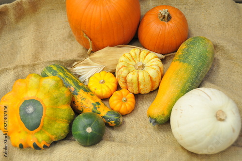 Coloquinte, courges décoratives photo