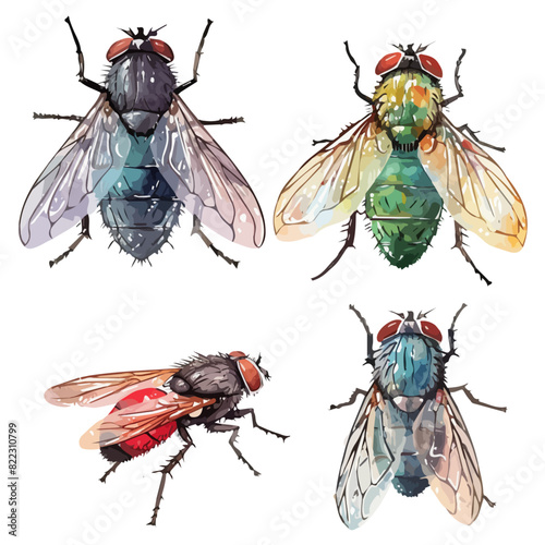 Watercolor vector of fly set collection, isolated on a white background, design art, drawing clipart, Illustration painting, Graphic logo, fly vector 