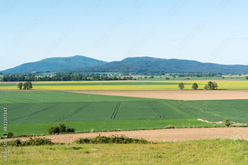 Fototapeta premium A beautiful spring landscape of a field against a background of mountains 